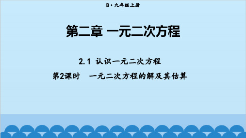 北师大版数学九年级上册  2.1 第2课时 一元二次方程的解及其估算  课件(共23张PPT)