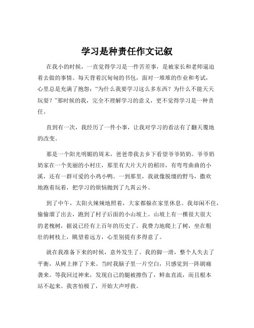 学习是种责任作文记叙