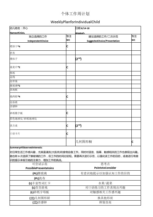 5范例个体工作周计划表