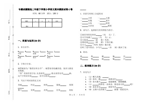 专题试题精选二年级下学期小学语文期末模拟试卷C卷