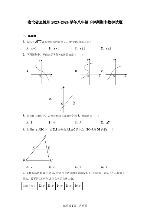 湖北省恩施州2023-2024学年八年级下学期期末数学试题