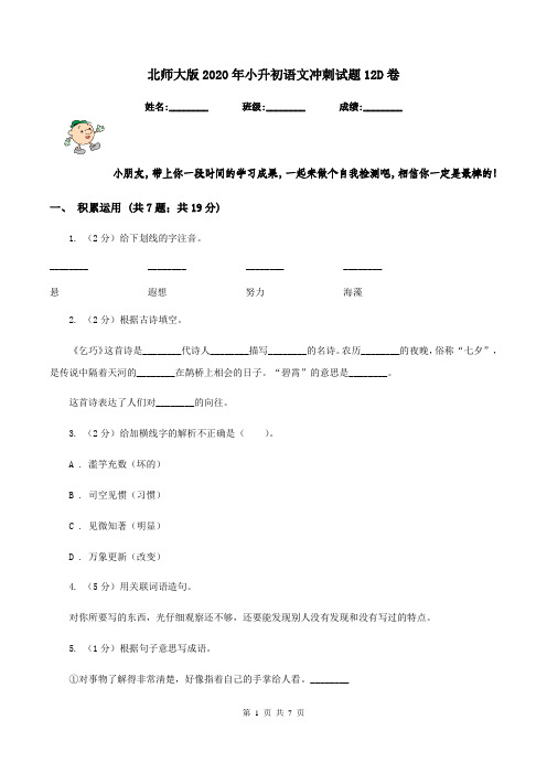 北师大版2020年小升初语文冲刺试题12D卷