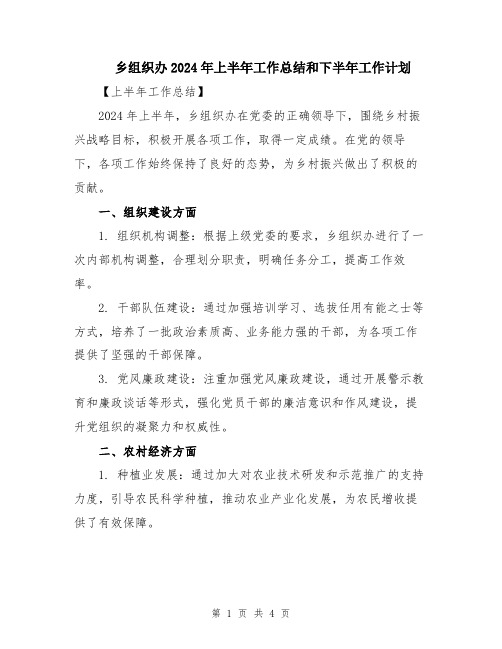 乡组织办2024年上半年工作总结和下半年工作计划