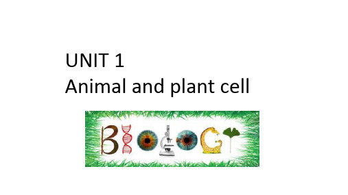 AQA oxford IGCSE Biology 1.1 animal and plant cell