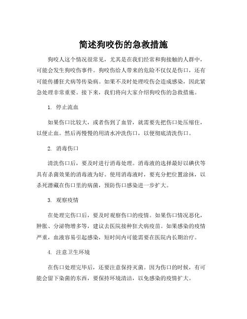 简述狗咬伤的急救措施