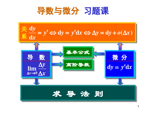 导数与微分习题课