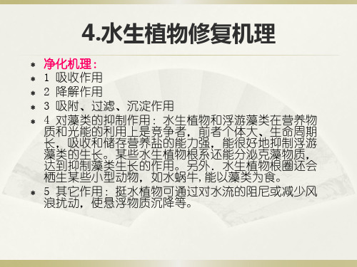 湖泊富营养化2