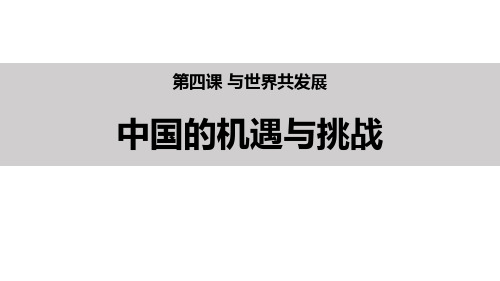 《中国的机遇与挑战》PPT课件