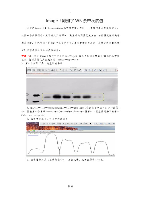 WB灰度值测定