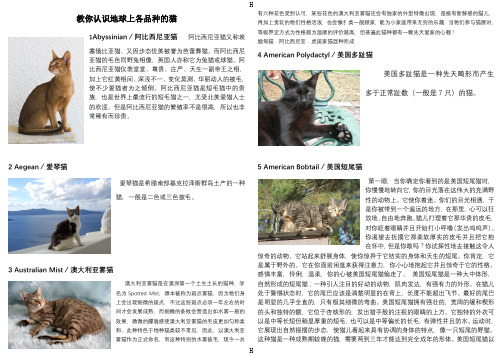 教你认识地球上各品种的猫