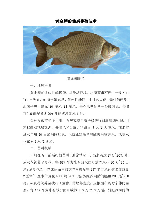 黄金鲫的健康养殖技术