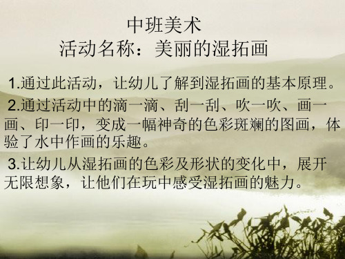 中班美术《美丽的湿拓画》微课件