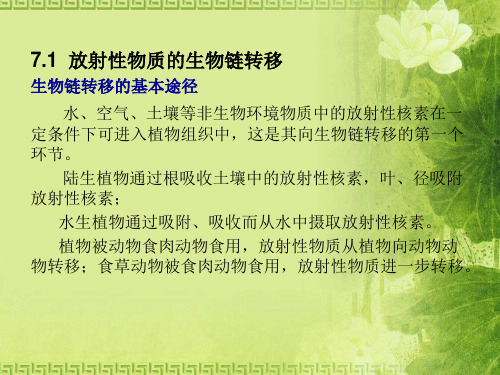 核环境监测与评价放射性物质通过生物链向人的转移