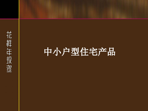 小户型住宅产品研究-127页PPT资料