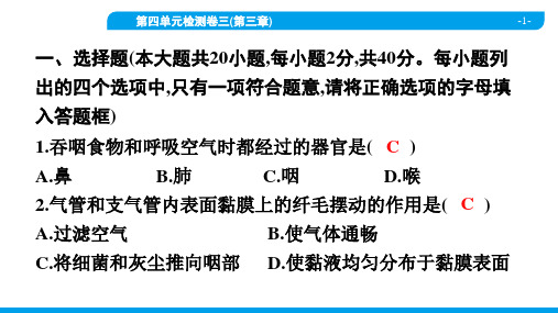 2022年人教版七年级下册生物第四单元检测卷三(第三章)