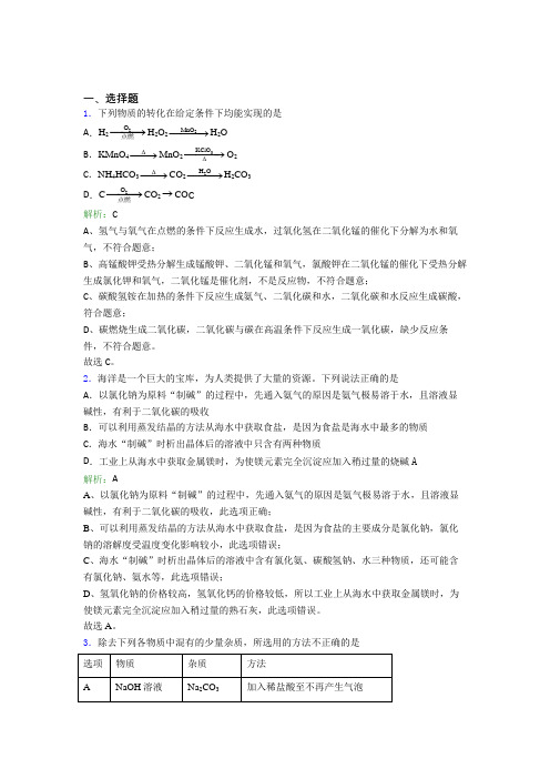 江苏省盐城中学九年级化学下册第十一单元《盐 化肥》经典测试卷(含答案解析)