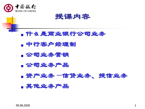 中国银行公司业务简介.ppt--(王俊川)共81页