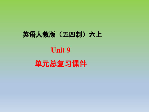 人教版(五四制)六年级英语上册Unit9_单元总复习课件