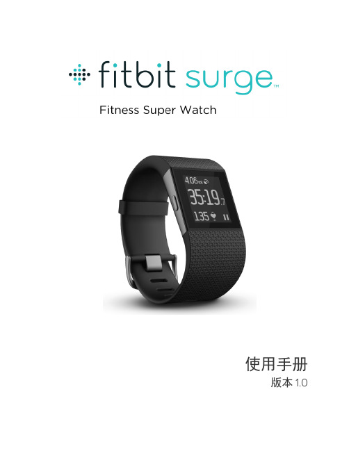 Fitbit Surge 说明书