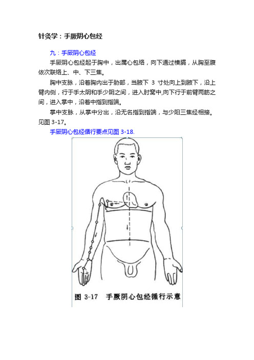 针灸学：手厥阴心包经