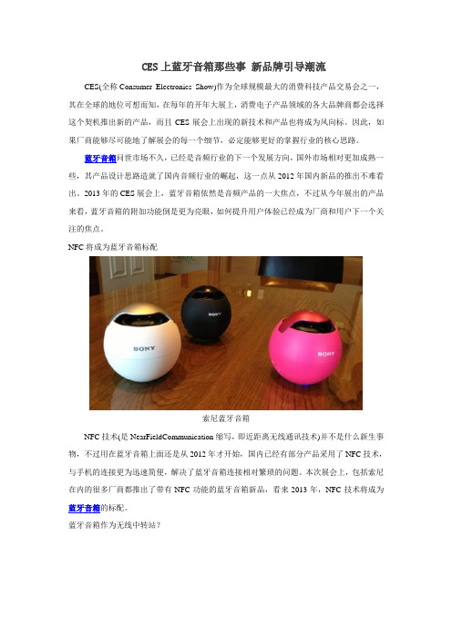 CES上蓝牙音箱那些事 新品牌引导潮流