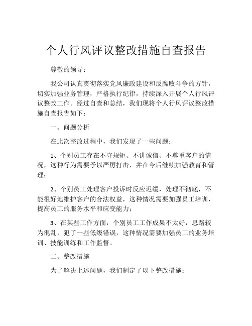 个人行风评议整改措施自查报告