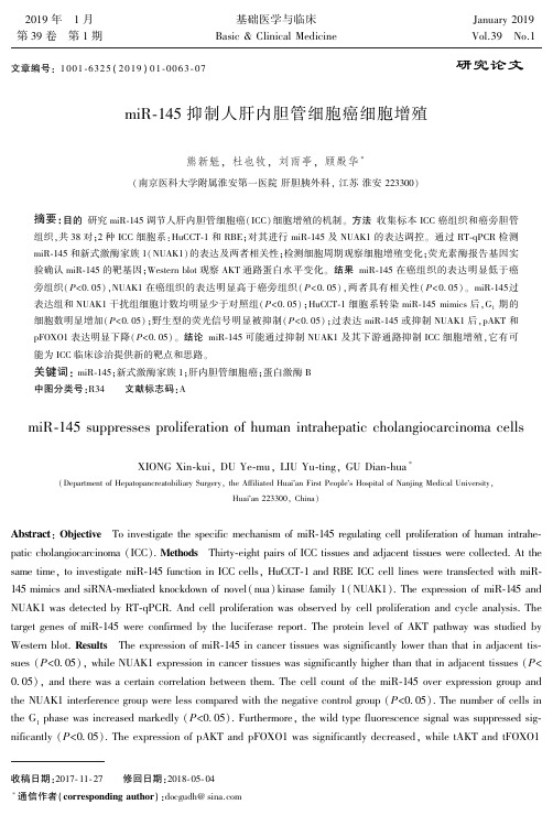 miR145抑制人肝内胆管细胞癌细胞增殖