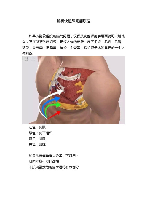 解析软组织疼痛原理