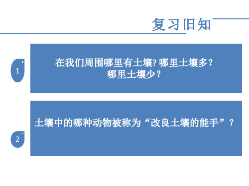 苏教版小学三年级上册科学 第二单元 研究土壤2了解土壤 课件(共30张PPT)