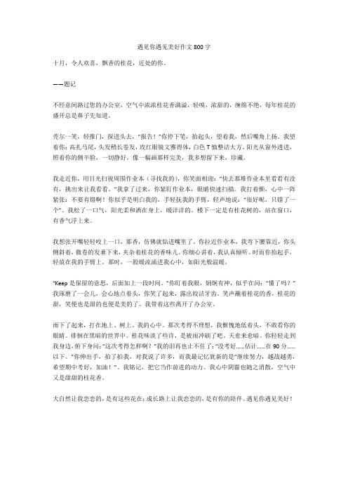 遇见你遇见美好作文800字全面版
