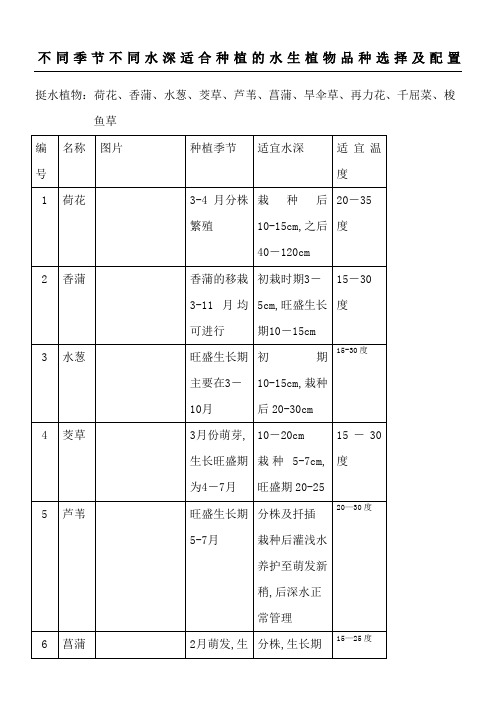 不同季节不同水深适合种植的水生植物选择