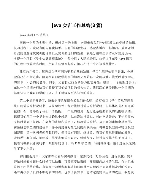 java实训工作总结(3篇)