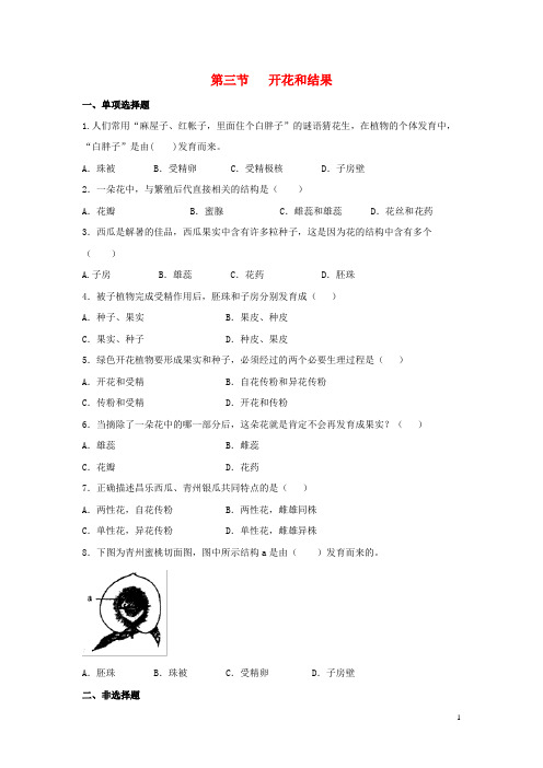 田阳县第六中学七年级生物上册 3.2.3《开花和结果》同步练习1 新人教版