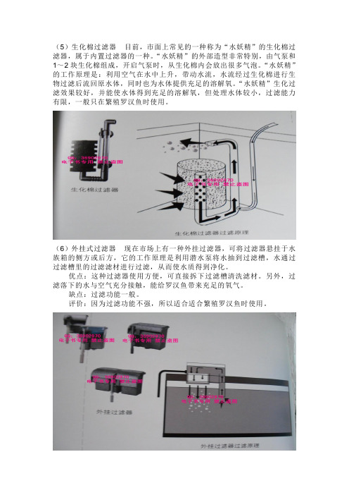 罗汉鱼饲养(十年呕心沥血之作共87M)(3)