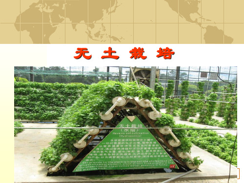 无土栽培3 水培雾培(栽培设施)
