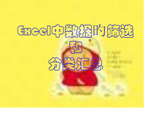 Excel中数据的筛选和分类汇总