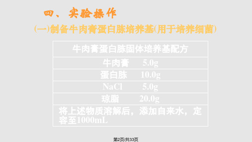 微生物培养实验方法