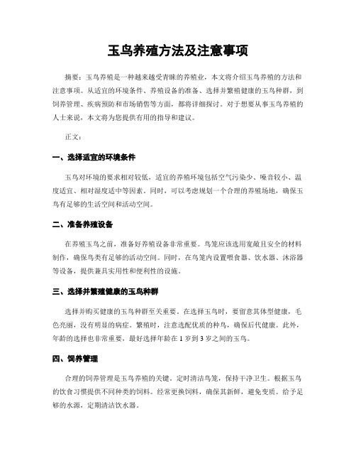 玉鸟养殖方法及注意事项