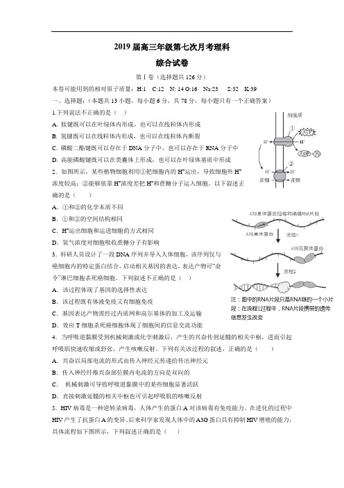 2019届高三第七次(3月)月考理科综合试题(附答案).