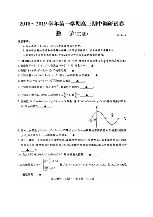 江苏省苏州市2019届高三上学期期中调研测试数学试卷 PDF版缺答案