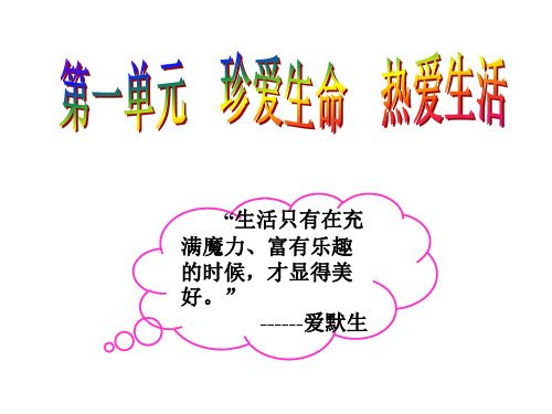 九年级政治珍爱生命热爱生活(2019年11月整理)