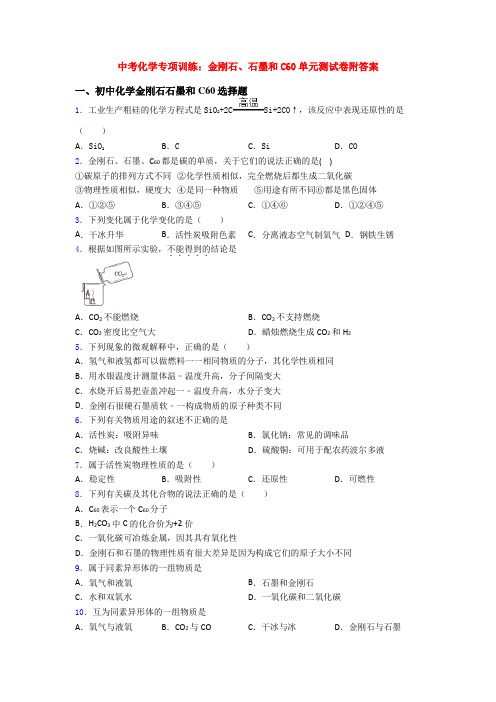 中考化学专项训练：金刚石、石墨和C60单元测试卷附答案