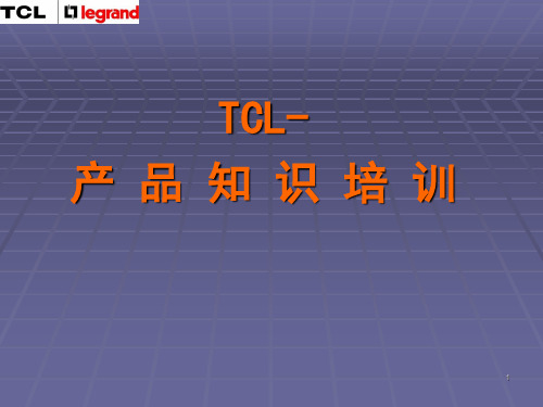 TCL罗格朗产品知识培训