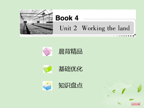 高考英语一轮复习考案 Unit 2 Working the land课件 新人教版必修4