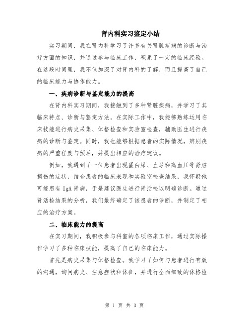 肾内科实习鉴定小结