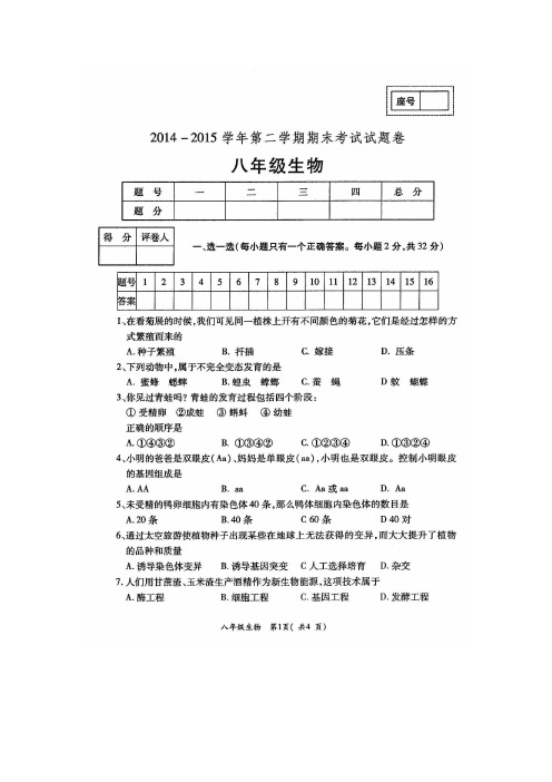 河南省洛阳市孟津县2014-2015学年八年级下学期期末考试生物试题(扫描版).doc