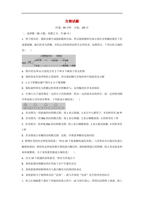 湖南省郴州市湘南中学2020届高三上学期期中考试生物试卷