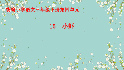 《15小虾》课件(共20张PPT)