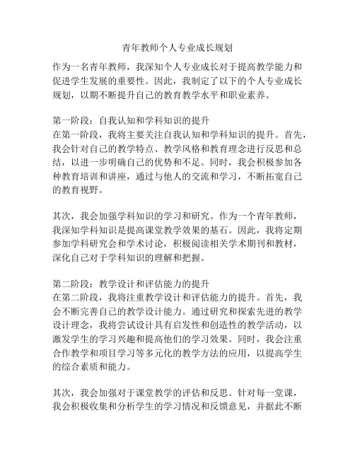 青年教师个人专业成长规划