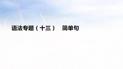 中考英语二轮复习语法专题13 简单句